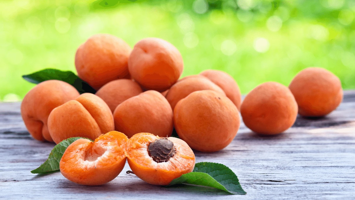 apricots for lowering high blood pressure