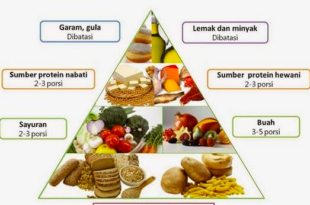 pola makan yang berkualitas