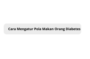 Cara Mengatur Pola Makan Orang Diabetes