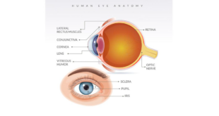 aplikasi menjaga kesehatan mata