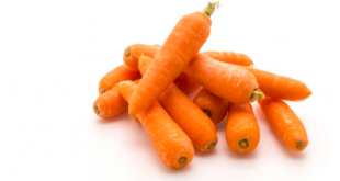 cara makan wortel untuk kesehatan mata