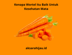 Kenapa Wortel Itu Baik Untuk Kesehatan Mata