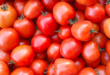 tomat untuk kesehatan mata