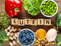 lutein
