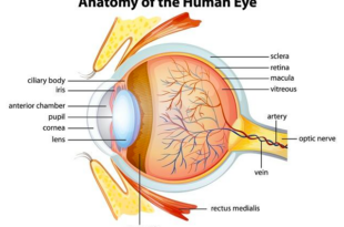 Cara Menjaga Kesehatan Mata Secara Alami