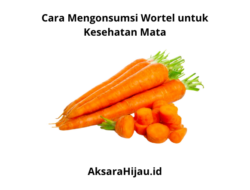 Cara Mengonsumsi Wortel untuk Kesehatan Mata